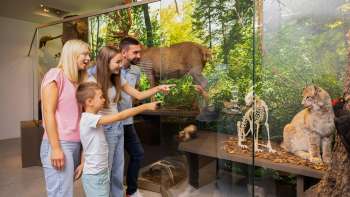 Een gezin bekijkt de natuurhistorische tentoonstelling in het Liechtensteinisch LandesMuseum