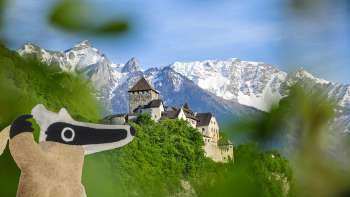 Detectieven-trail: Op schattenjacht in Vaduz met uitzicht op kasteel Vaduz en de Witte Bergen