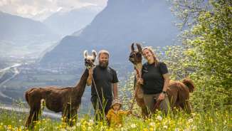 Gezin met kind en twee lama's tegen een indrukwekkende alpine achtergrond tijdens een lama- en alpacawandeling in Liechtenstein.