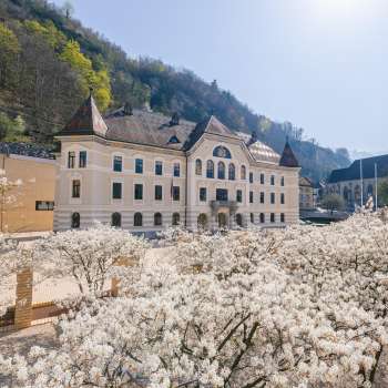 Regeringsgebouw in Vaduz met witte bloemen op de voorgrond in de felle zon