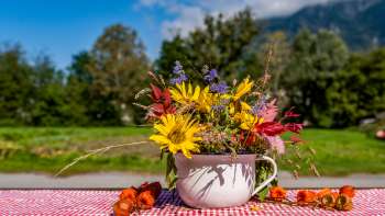 Kleurrijk boeket bloemen in een nostalgische beker op de Neufeldhof in Liechtenstein - een regionale idylle met uitzicht op de Alpen.