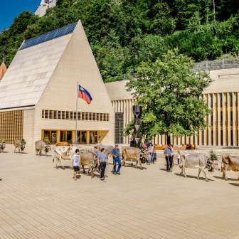 Feestelijk versierde koeien op de traditionele alpiene rit door de regeringswijk in Vaduz, met het parlementsgebouw en de vlag van Liechtenstein