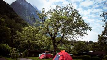 Camping op Camping Mittagsspitze met rode tenten onder een grote boom tegen een berghelling.
