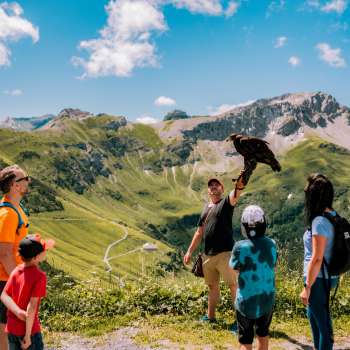 Familie kijkt naar valkenier met roofvogel