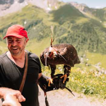  Valkenier met rode pet presenteert een majestueuze adelaar in een alpenlandschap.