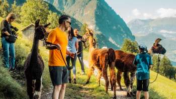 Lamawandeling met gids op een bergpad