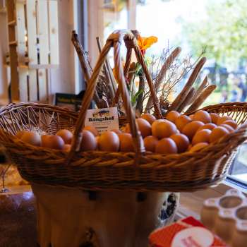 Grote rieten mand met verse scharreleieren in de Bangshof boerderijwinkel - regionale kwaliteit direct van de boerderij.