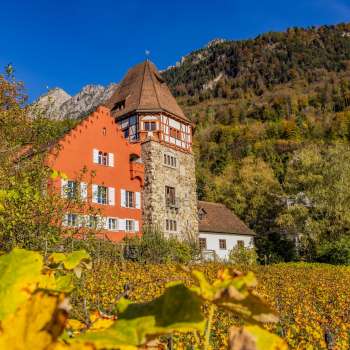 Het Rode Huis in Vaduz, omgeven door herfstkleurige wijnstokken op de helling