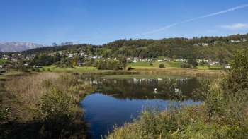 Wintersfeer bij Egelsee in Mauren met bevroren meer, besneeuwd riet en heldere hemel.