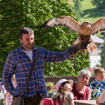 Een valkenier presenteert een roofvogel, kinderen en volwassenen kijken enthousiast toe.