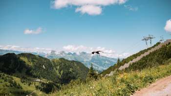 Een majestueuze roofvogel vliegt over de bloeiende alpenweiden bij Malbun met uitzicht op de omliggende bergen en de Rijnvallei. Een majestueuze roofvogel vliegt over de bloeiende alpenweiden bij Malbun met uitzicht op de omliggende bergen en de Rijnvallei.