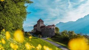 Kasteel van Vaduz met gele bloemen op de voorgrond op een zonnige lentedag Kasteel van Vaduz met gele bloemen op de voorgrond op een zonnige lentedag