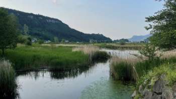 Uitzicht op de Egelsee in Mauren in de zomer met groene oeverbegroeiing, weerspiegelend water en een rustig natuurlandschap. Uitzicht op de Egelsee in Mauren in de zomer met groene oeverbegroeiing, weerspiegelend water en een rustig natuurlandschap.