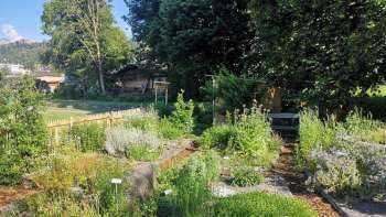 Bekijk de kruidentuin in Mauren met gelabelde plantbedden, bloeiende kruiden en goed onderhouden paden in een zomerse omgeving.