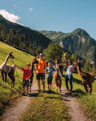 Familieshoot met lama's en alpaca's in zomer Malbun