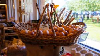 Grote rieten mand met verse scharreleieren in de Bangshof boerderijwinkel - regionale kwaliteit direct van de boerderij.