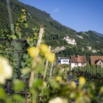 Kasteel Vaduz – Zomer