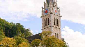 Zicht op de toren van de St Florin Kathedraal met bomen op de voorgrond