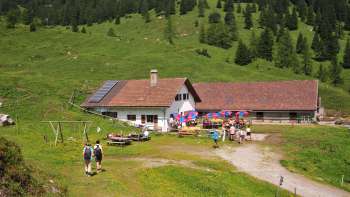  Uitzicht op de Alp Guschg Genesteld in groene weiden en bossen in de Wintergrund