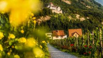 Kasteel Vaduz vanuit de wijngaard - cultuurlandschap en plezierregio Liechtenstein Uitzicht op kasteel Vaduz vanaf het wijnpad door de wijngaarden met bloemen, wijnranken en huizen in Liechtenstein