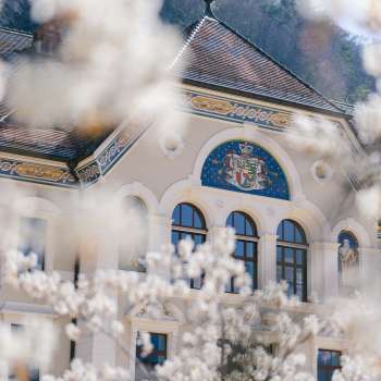 Gevel van het regeringsgebouw in Vaduz, omlijst door wit bloeiende bomen in de lente.