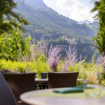 Uitzicht op het kasteel van Vaduz