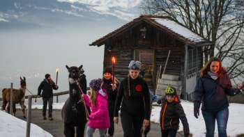 Kinderen en volwassenen tijdens een winterwandeling met lama's op een besneeuwd pad in Liechtenstein met uitzicht op de Rijnvallei