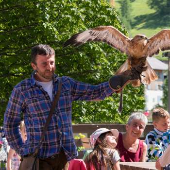 Een valkenier presenteert een roofvogel, kinderen en volwassenen kijken enthousiast toe.