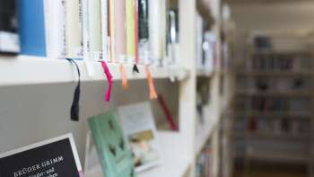 Blik in het Literaturhaus Liechtenstein met de focus op boeken op een lichtgekleurde plank