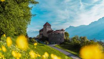 Kasteel van Vaduz met gele bloemen op de voorgrond op een zonnige lentedag Kasteel van Vaduz met gele bloemen op de voorgrond op een zonnige lentedag