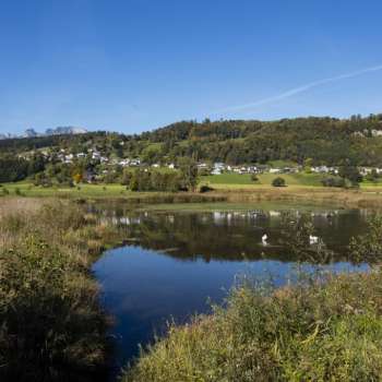 Wintersfeer bij Egelsee in Mauren met bevroren meer, besneeuwd riet en heldere hemel.