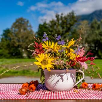 Een herfstboeket wilde bloemen in een geëmailleerde beker staat op een rood-wit geblokt tafelkleed, met bergen in Liechtenstein op de achtergrond.