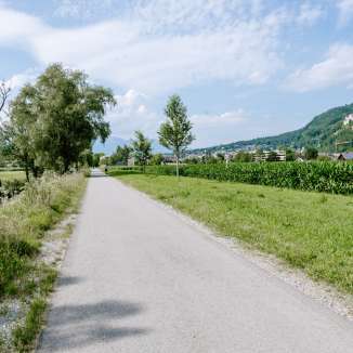 Geasfalteerd pad tussen velden en bomen met uitzicht op de bergen - Auweg in Liechtenstein bij zomerweer