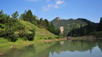 Een meer waar twee wandelaars zitten, omgeven door groene weiden en bossen, met de Liechtensteinse Alpen op de achtergrond.