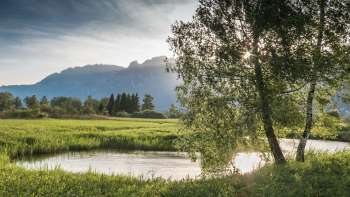 Rustig waterlandschap in het Natuurreservaat Ruggeller riet met zacht zonlicht en uitzicht op de bergen op de achtergrond