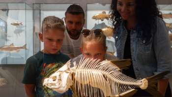 Nationaal Museum van Liechtenstein