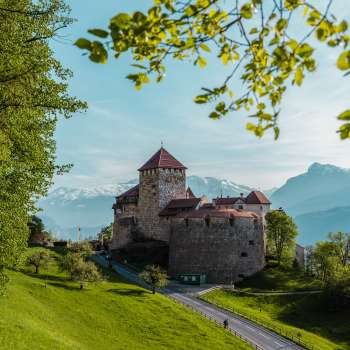 Pittoresk uitzicht op het kasteel van Vaduz, ingebed in groene heuvels en bossen.