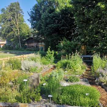 Bekijk de kruidentuin in Mauren met gelabelde plantbedden, bloeiende kruiden en goed onderhouden paden in een zomerse omgeving.
