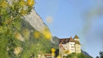 Burcht Gutenburg met gele bloeiende struiken op de voorgrond.