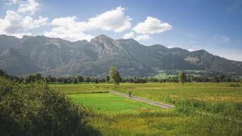 Uitzicht op het Natuurreservaat Ruggeller riet met bergen op de achtergrond
