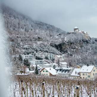 Besneeuwde wijngaarden en huizen in Vaduz met uitzicht op Kasteel Vaduz op een winterse dag