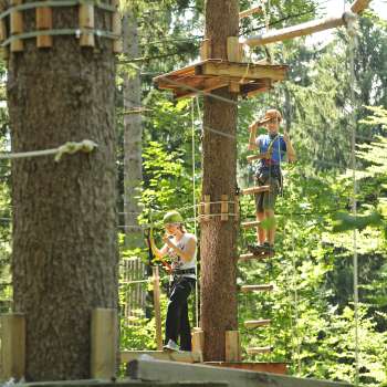 Twee mensen concentreren zich op een hoog touwenparcours tussen bomen