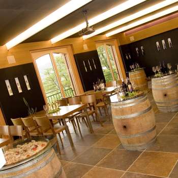 Harry Zech Wijnbouw - Cantina