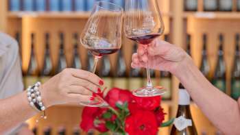 Proeven bij de Wijnkelder van de Vorsten van Liechtenstein