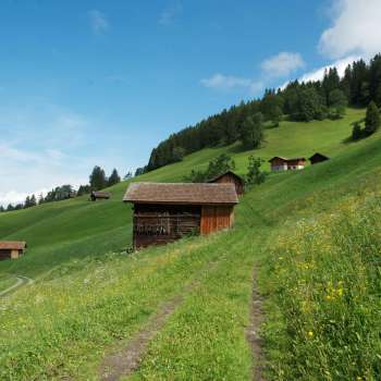Alpenweiden met verspreide houten schuren op een groene helling bij Masescha.