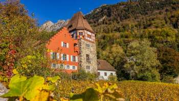 Het Rode Huis in Vaduz, omgeven door herfstkleurige wijnstokken op de helling
