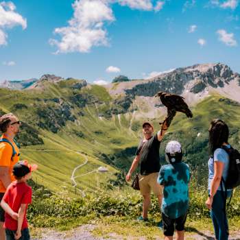 Familie kijkt naar valkenier met roofvogel tijdens een van de adelaarsavontuurwandelingen