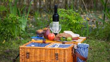 Picknickmand met wijnfles in het bos