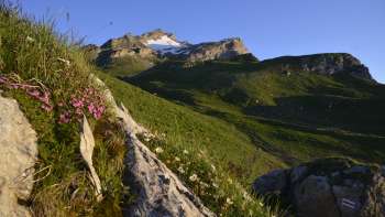 Berg Naafkopf Malbun