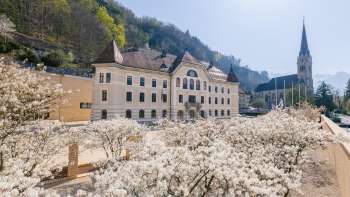 Regeringsgebouw in Vaduz met witte bloemen op de voorgrond in de felle zon
